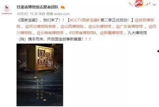 甘肃网友爆料新闻视频,惊现神秘新闻视频，揭秘惊人真相！