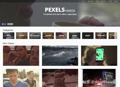 海外爆料博主新闻视频